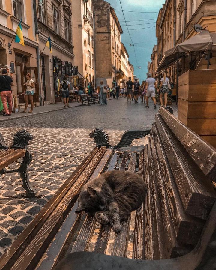 Cozy & New Furnished Flat In Old Town Of Lviv Apartamento Exterior foto